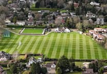 It's all green for go for new cricket season