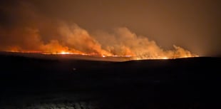 Wales sees 250 per cent rise in deliberate grass fires