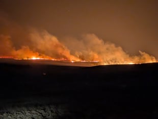 Wales sees 250 per cent rise in deliberate grass fires