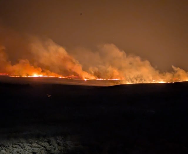 Wales sees 250 per cent rise in deliberate grass fires