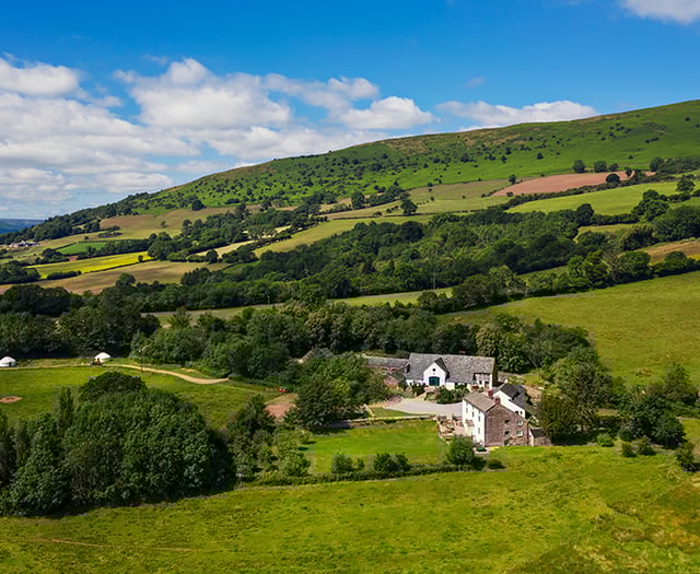 Welsh tourism tax sparks business backlash