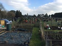 
Police calling for information on Llanfoist Allotment burglary 