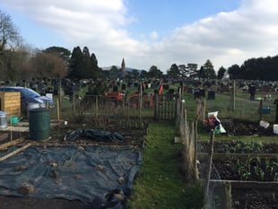 
Police calling for information on Llanfoist Allotment burglary 