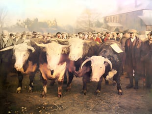 The Past in Colour 