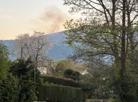 Peter Fox urges wildfire strategy
