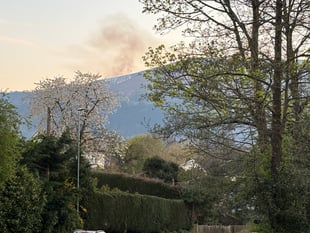 Peter Fox urges wildfire strategy