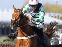 Sam's Our Power goes so close in Sandown Gold Cup finale