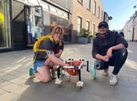 The duck bringing smiles to people's faces in Abergavenny