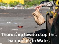 Lack of law sees litter louts escaping scot free