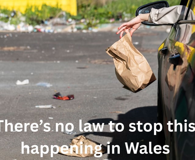 MCC calls for fines for car owners who throw litter