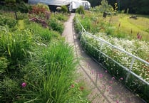 Abergavenny project secures £3k grant for garden
