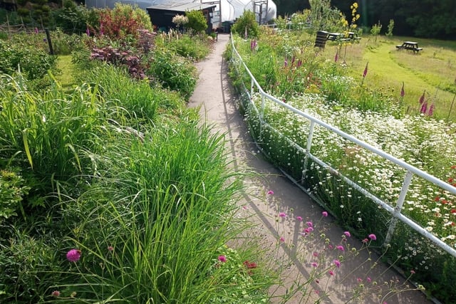 Abergavenny project secures £3k grant for garden