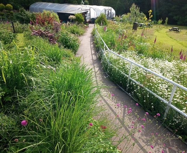 Abergavenny project secures £3k grant for garden