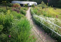 Abergavenny Project Wins £3k Grant