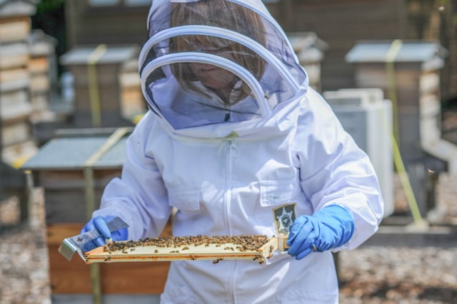 Ceri's keeping buzzy as Gwent's first master beekeeper