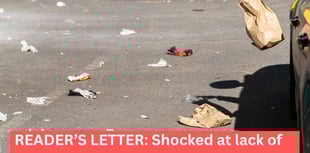 Reader's Letter: Council workers never pick up litter on country lanes