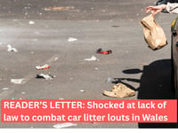 Reader's Letter: Council workers never pick up litter on country lanes