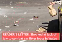 Reader's Letter: Council workers never pick up litter on country lanes