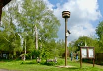 Monmouthshire Council defends swift tower cost