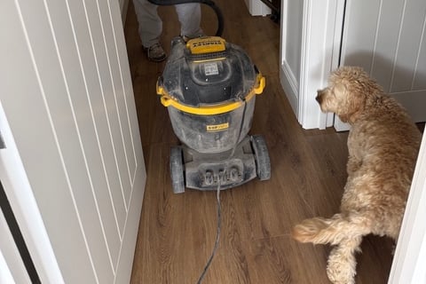 83-year-old Valerie Carter and Ripley the dog
