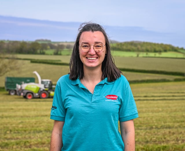 Farmers urged to use cereals for silage