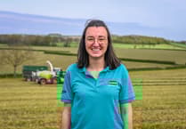 Farmers: Use cereals for silage backup