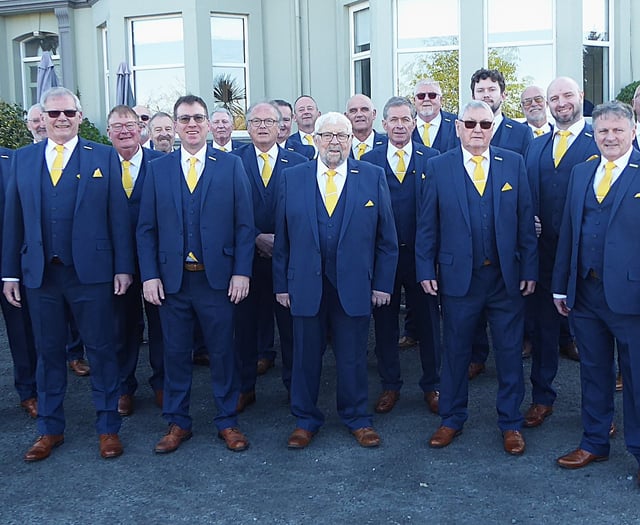 Synergy impress at Bangor festival