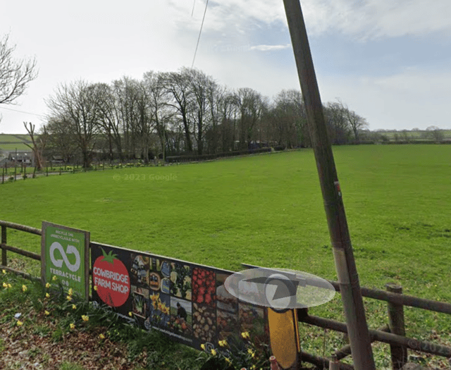 Cryptosporidium outbreak: 81 cases at Cowbridge