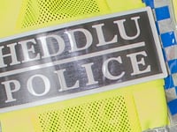 
Police appeal for information regarding Croesonen Gardens incident 