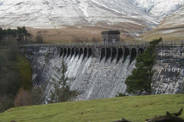 Police investigate after dog attacks sheep near reservoir