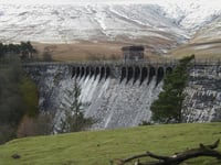 Police investigate after dog attacks sheep near reservoir