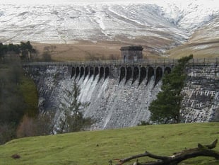 Police investigate after dog attacks sheep near reservoir
