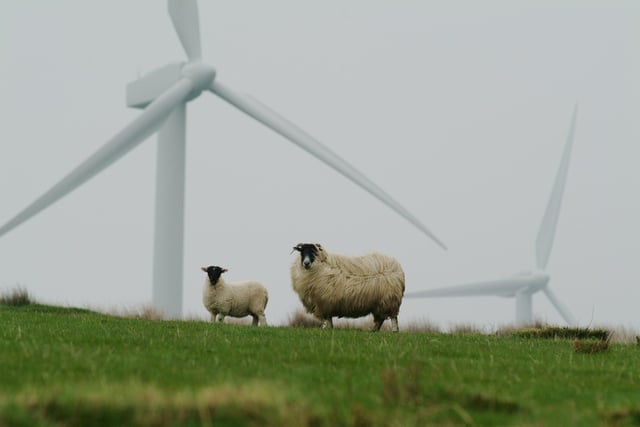 Powys calls to pause wind farm plans