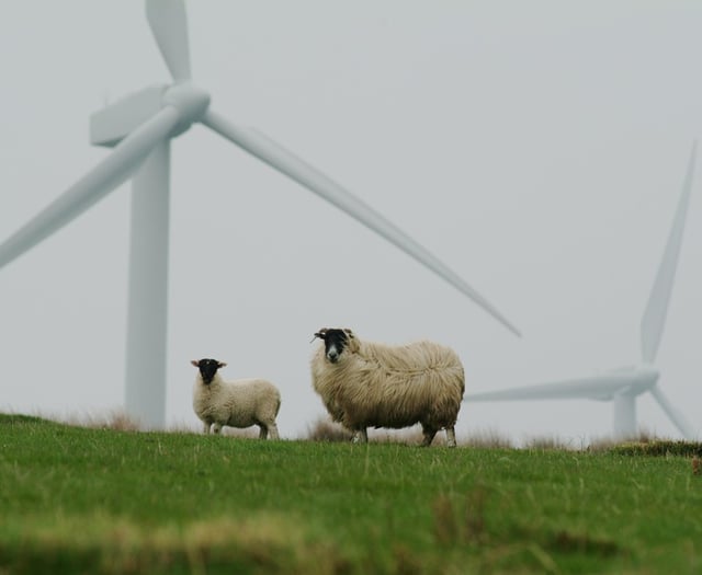 Powys calls to pause wind farm plans