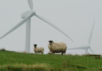 Powys council seeks pause on wind farm applications