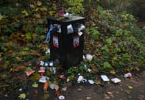 Monmouthshire says bins not being removed