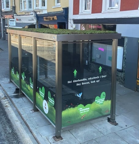 The new living roof bus shelter on the Bulwark in Brecon