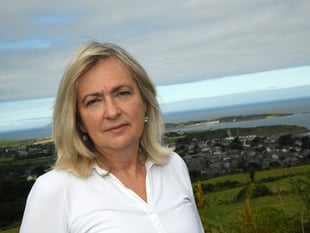 Plaid Cymru urges UK to support Wales