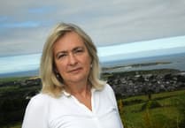 Plaid Cymru calls for UK support