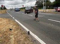Safety calls rekindled after A40 crash