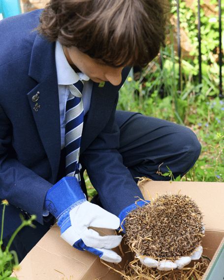 Dylan and the hedgehog called Peri