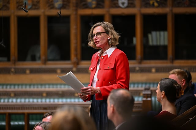The View From Westminster With Catherine Fookes MP