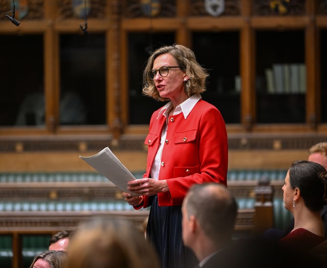 The View From Westminster With Catherine Fookes MP
