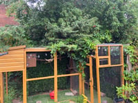 Llanfoist mother fears garden tree danger
