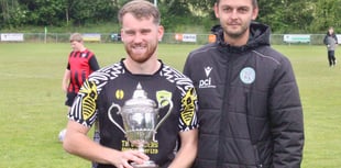Wasps buzzing after lifting Hay Cup