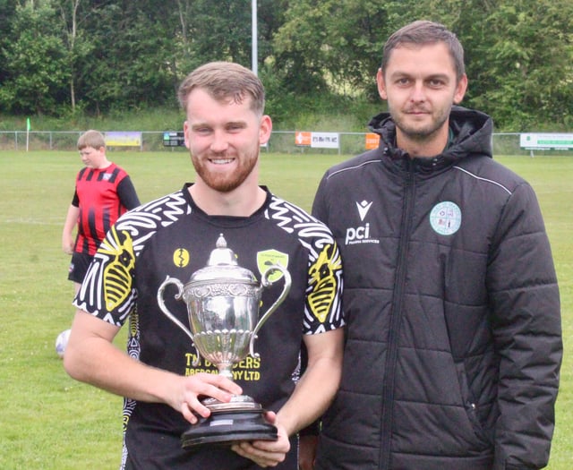 Wasps buzzing after lifting Hay Cup
