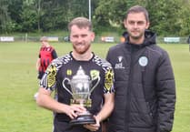 Wasps buzzing after lifting Hay Cup