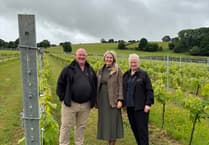 The Monmouthshire couple making world beating wine