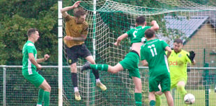 Wasps pay the penalty after buzzing high-flying RTB