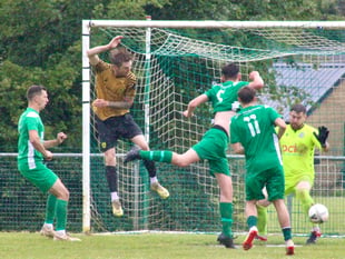 Wasps pay the penalty after buzzing high-flying RTB
